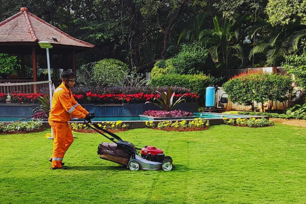 Landscape Maintenance Services